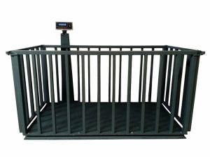 Büyükbaş Hayvan Baskülü  120x240 - 3 Ton