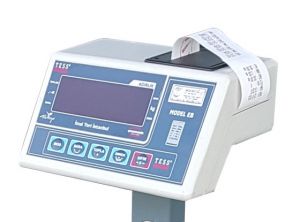Tess Elektronik Yazıcılı Baskül 50x60 cm - 300 kg