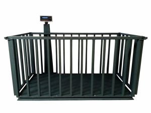 Büyükbaş Canlı Hayvan Baskülü  110x220 - 3 Ton