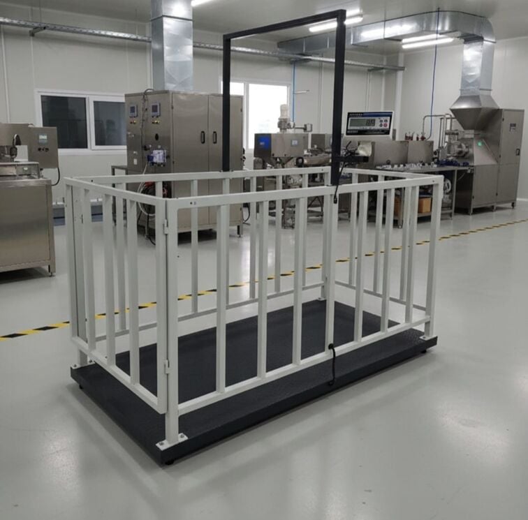 Canlı Hayvan Baskülü Eko Model 2X1 CM 2 Ton