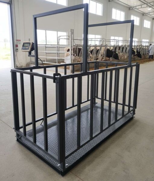 Canlı Hayvan Baskülü U Şase Çemberli 100X200 CM 2 Ton