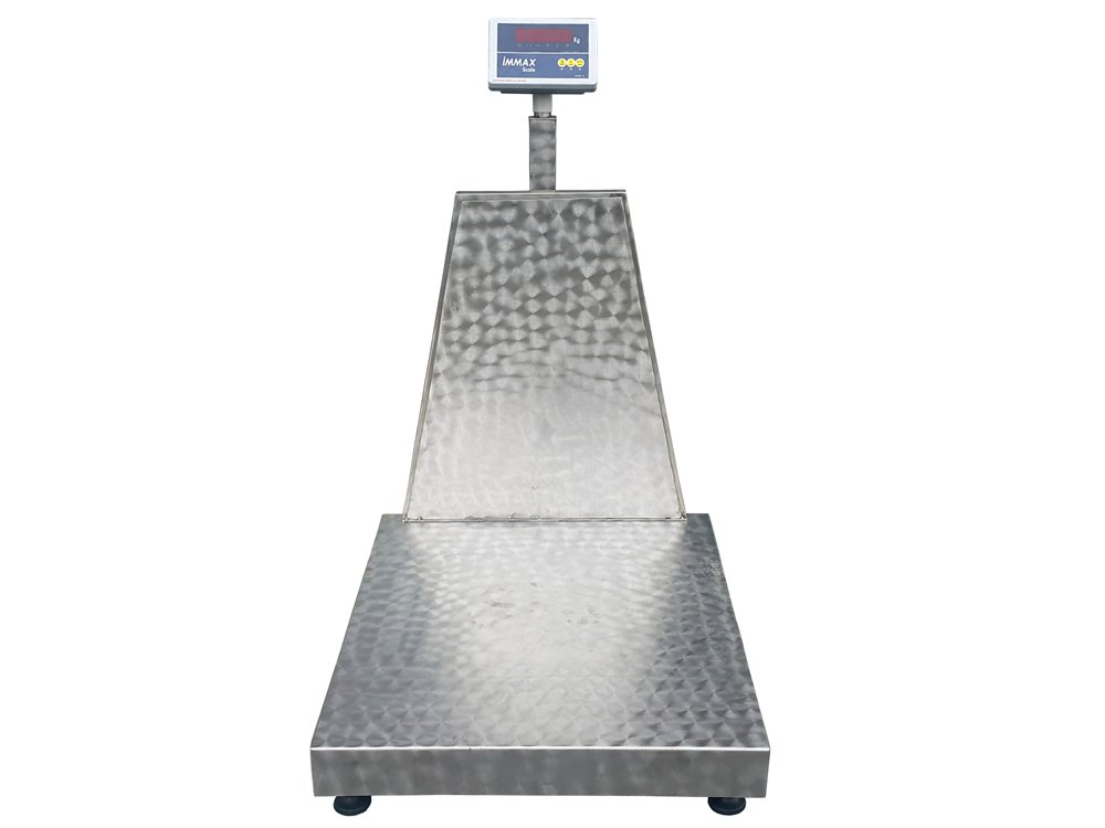 Paslanmaz Platform Baskül 70x80 cm 600 kg