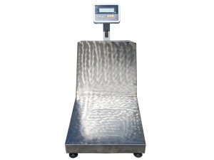 Paslanmaz Platform Baskül 50x60 cm 300 kg