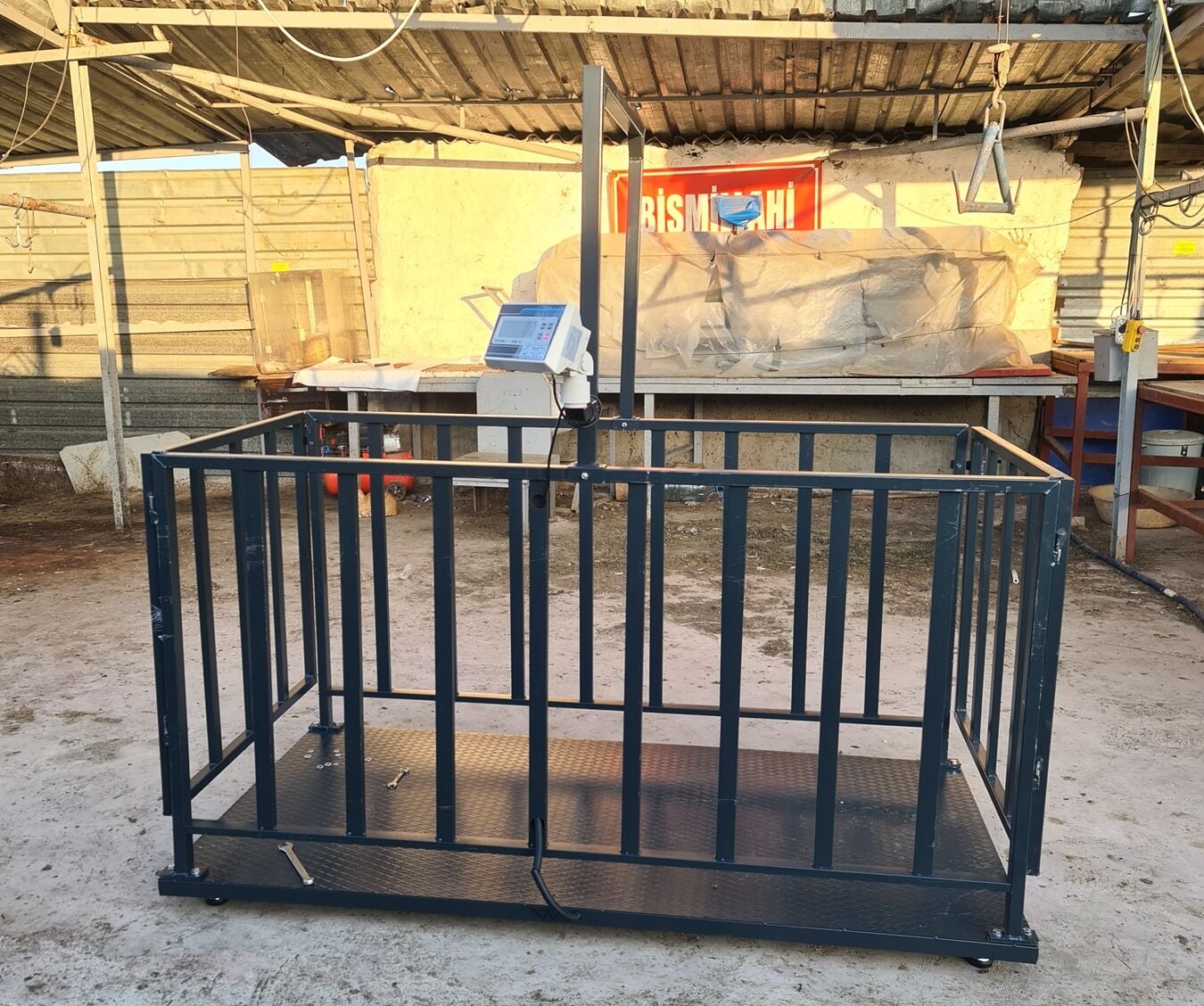 Canlı Hayvan Baskülü Eko Model 2X1 CM  1.500 Kg