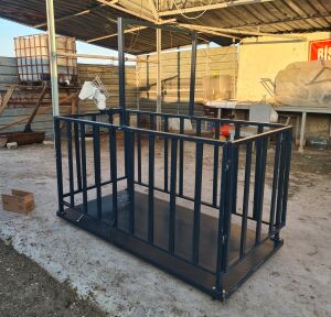 Canlı Hayvan Baskülü Eko Model 2X1 CM  1.500 Kg