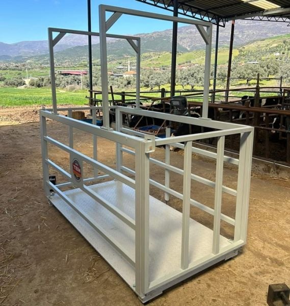 Tem / Eko Canlı Hayvan Baskülü 100x200 - 1500 Kg