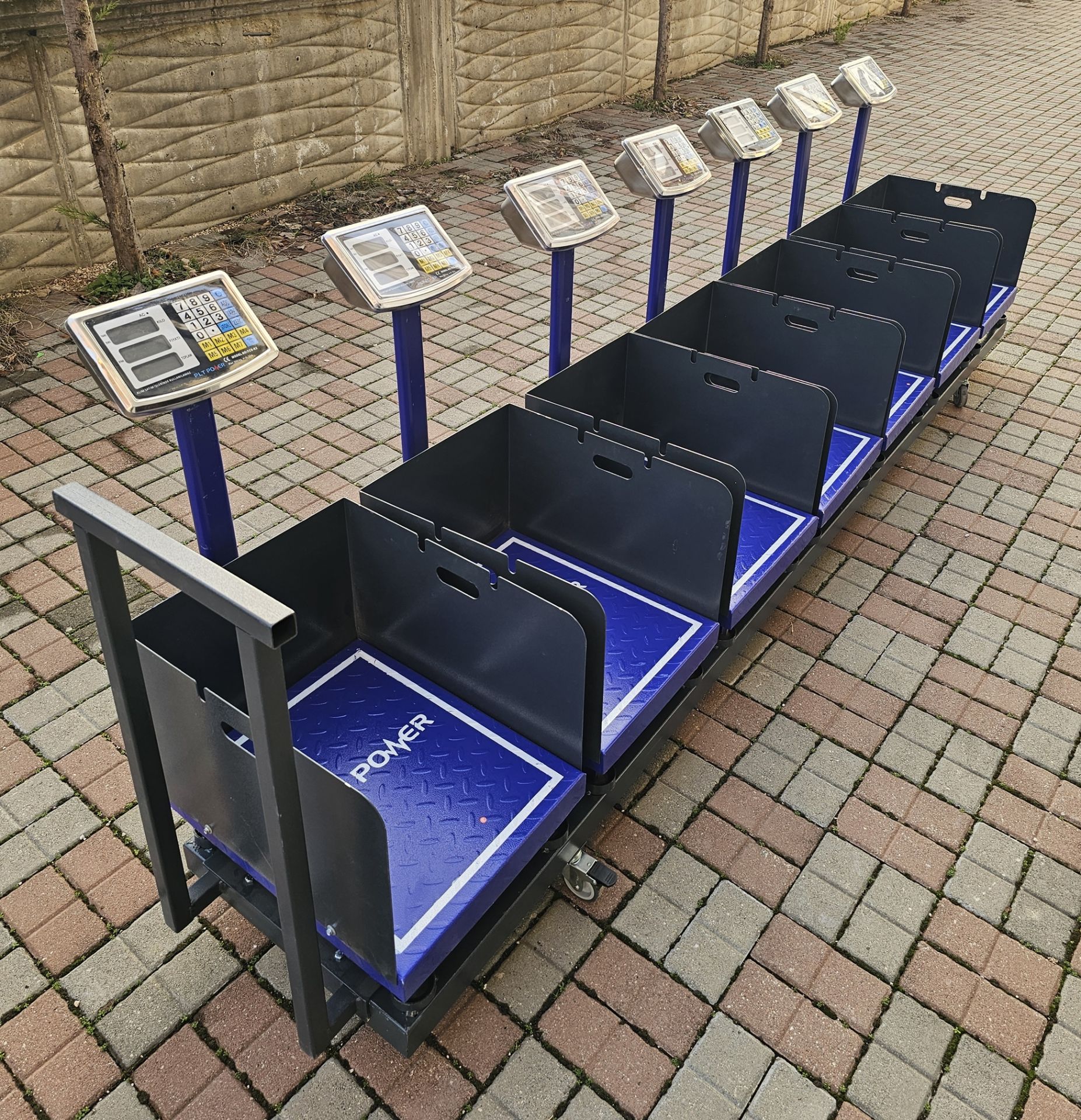 Kurban Hisse Pay Baskülü 300 Kg 40x50 Cm