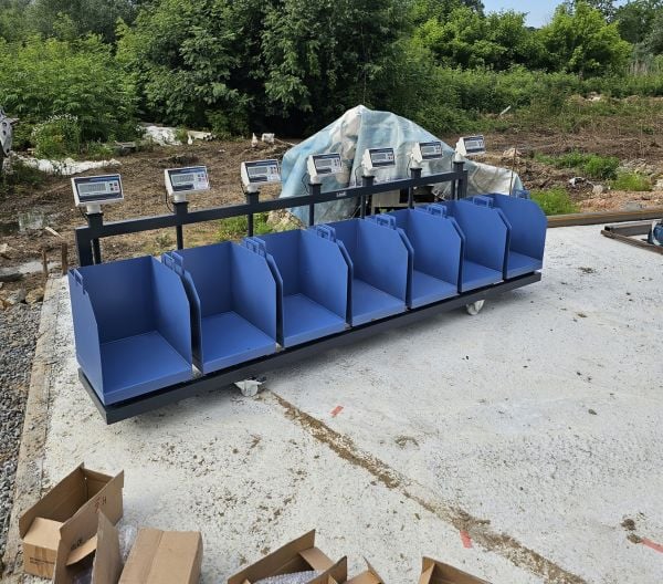 İmmax Kurban Hisseleme Hisse Pay Baskülü 150 kg 40x50 cm