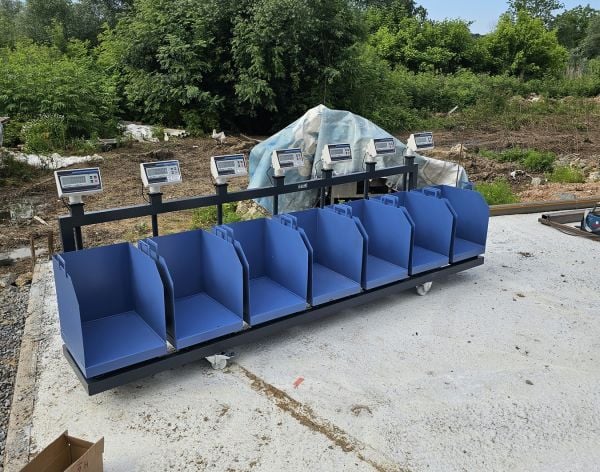 İmmax Kurban Hisseleme Hisse Pay Baskülü 150 kg 40x50 cm