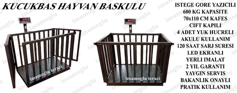 koyun baskülü
